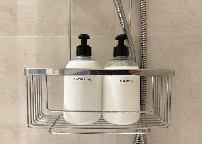 Daire Entire With Terrace San Sebastián